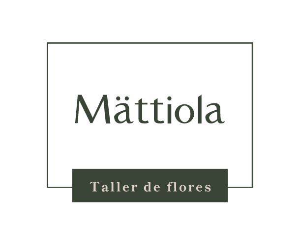 Mattiola